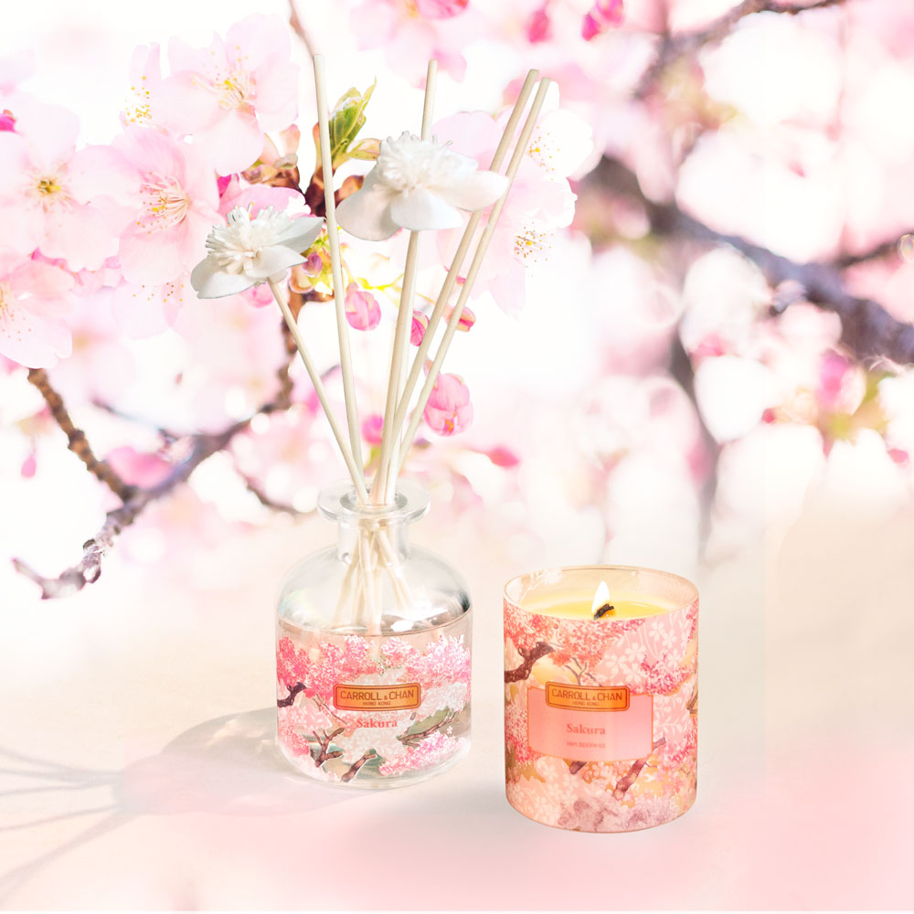 Japanese Sakura 100% Beesewax candle